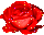 427cabc00727809e65b121408a2bf10e.gif