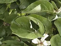 DSC00007.webp