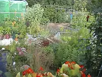 Garten4jahr4.webp