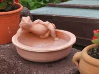 Garten 042.webp