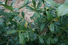 2010 097.webp
