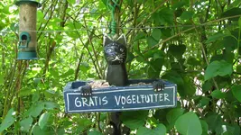 gratisvogelfutter.webp