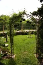 IMG_0008.webp