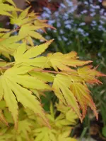 056.webp