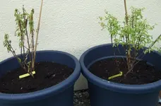 DSCF4472.webp