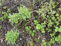 P1020870.webp