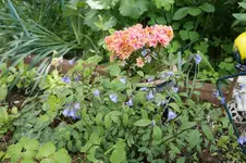 DSC02939.webp