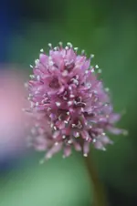 DSC02940.webp