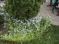 DSC00016.webp