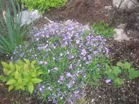 16.05.2010 012.webp