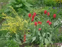 16.05.2010 026.webp