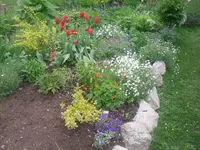 16.05.2010 027.webp