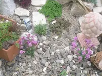 16.05.2010 030.webp