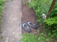 16.05.2010 006.webp