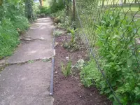 16.05.2010 008.webp