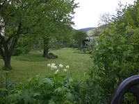 Garten Mai3 001.webp