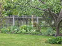 Garten Mai3 002.webp