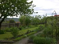 Garten Mai3 015.webp