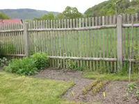 Garten Mai3 021.webp