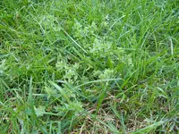 IMG_1153.webp