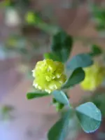 IMG_1208.webp