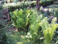 040.webp