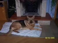 100_0521.webp