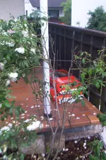 Gartentreppe 019.webp