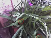 18-01-08_1331.webp