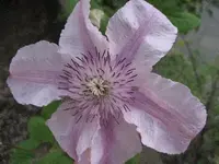104_400x300.JPG