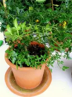 DSC02191-1.webp