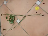 DSCF0279.webp