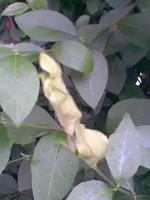 Bild002.webp