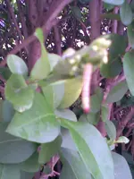 Bild003.webp