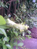 Bild004.webp