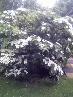 PICT0055.webp