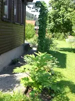 Garten 06-1 057.webp