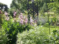 Garten 06-1 053.webp