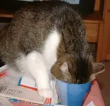 Tasse7.webp