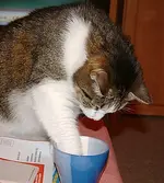 Tasse3.webp