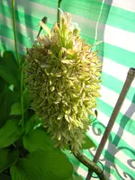 DSCN0172.webp