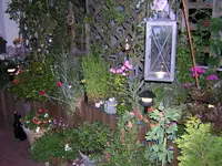 DSCN0181.webp