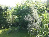 Garten 06-1 058.webp