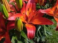 DSCF1949.webp