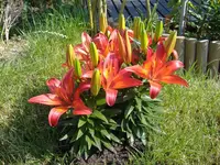 DSCF1948.webp