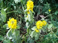 DSCF1956.webp
