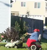 garten.webp