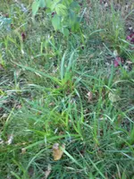 DSC00260.webp