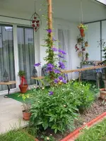 Kopie von IMG_5882.webp