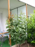 Kopie von IMG_5887.webp